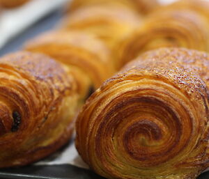 Chocolate croissants for brunch on mid winters.