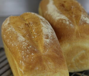 All our bread is baked on station and the spelt sourdough loaf is a favorite.