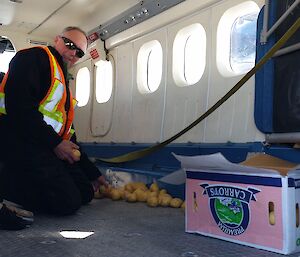 Russ the pilot picking spuds off the floor of the aircraft..