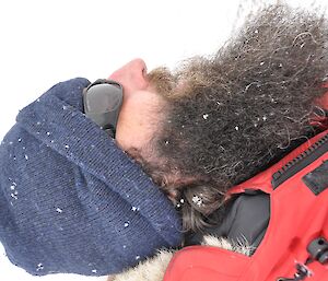 Trev’s long beard makes a great snowflake catcher for the soft large flakes!