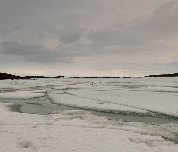 Changes in the sea ice are becoming obvious with cracks and leads opening up.