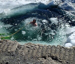 Linc splashing about in water hole