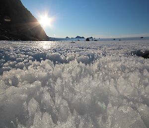 Ice like blades of grass growing in a lawn.