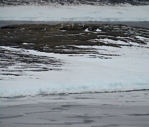 Water with a layer of thin ice on top