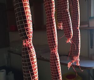 Salami sticks hanging in the sun