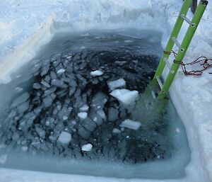 the ice pool full of floating cubes