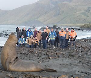 A group of people standing on a muddy beach with an elephant seal in front of them
