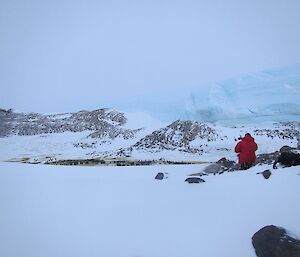 Tony D taking the photographic census with the glacier in the background.