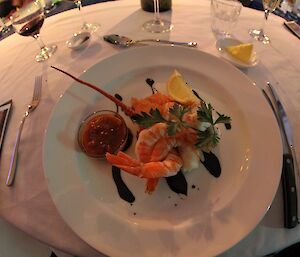 A plate with prawns and salad