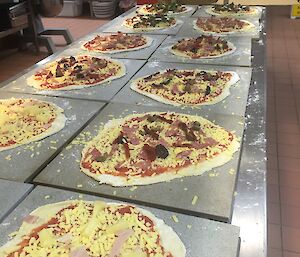 a line of unbaked pizzas