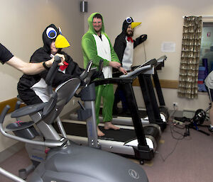 a group of people in dress ups on exercise equipment