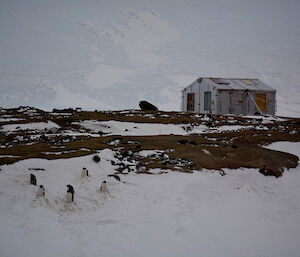 a steel coloured hut in front of a glacier