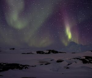 auroras above the sea ice