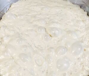 a bowl full of bubbling flour and water mix