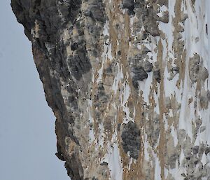 a rocky hill face with penguin nesting sites