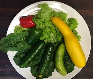 A plate of zuchinni’s, cucumbers and capsicums