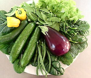 a plate with snow peas, eggplants, cucumbers, capsicum and herbs
