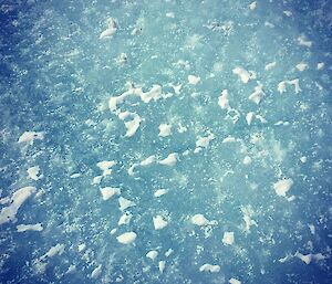 A picture of blue sea ice