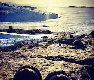 A view over the sea ice with a glacier on the left