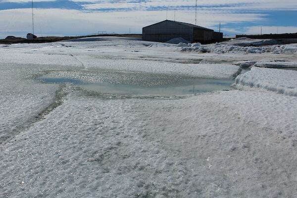 A picture of deteriorating Horseshoe Hrbour sea ice in front of the station