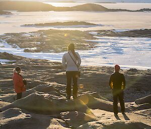 A view from the top of the island overlooking ice and rocks.