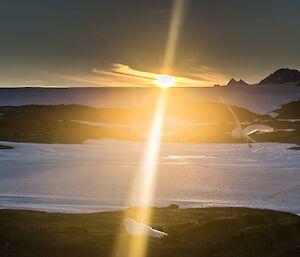 Midnight sun with one snow petrel on rock and one in the air