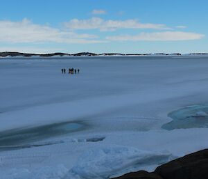 The team of seven making their way carefully across the deteriorating fast ice near Mawson Station