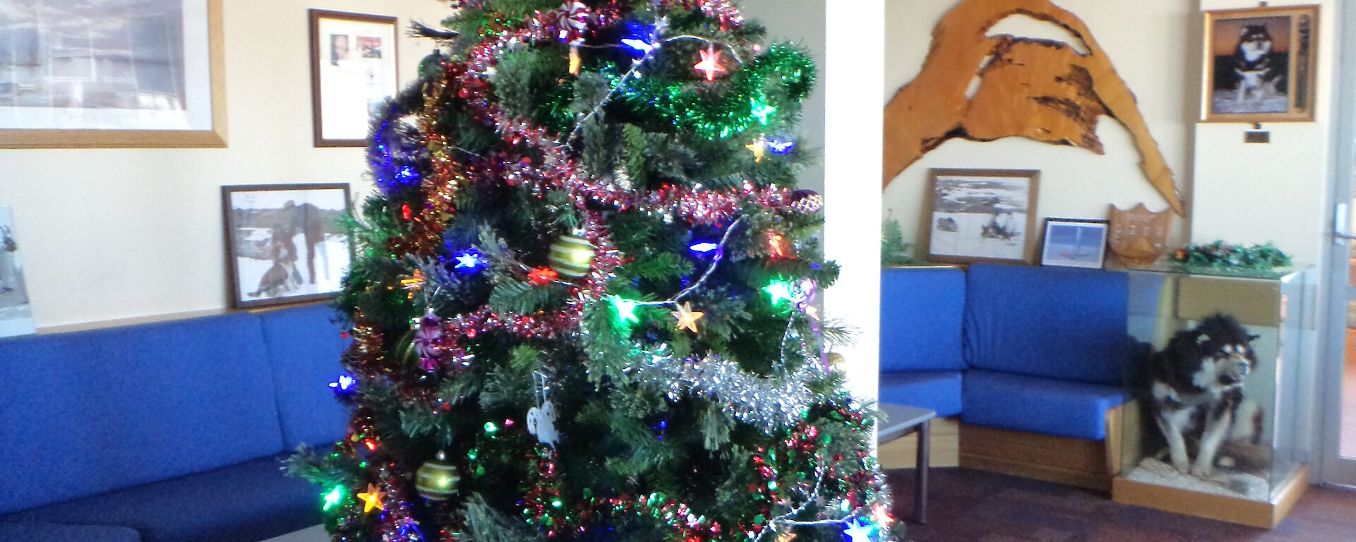 A well decorated Christmas tree in Mawson’s upstairs lounge area