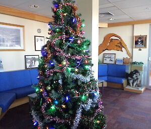 A well decorated Christmas tree in Mawson’s upstairs lounge area