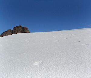 Hollows made by snow petrels bathing in the snow near Fearne Lake