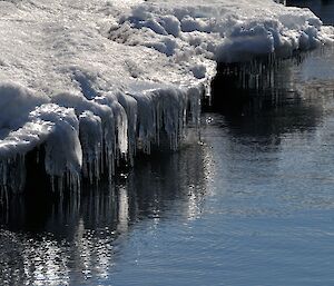 Ice around the shore melting and forming icicles
