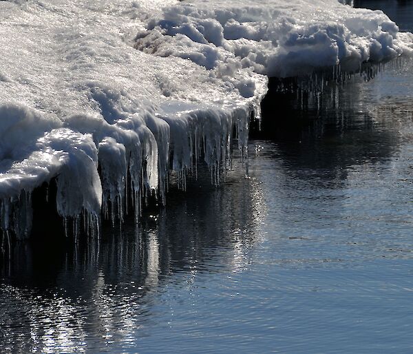Ice around the shore melting and forming icicles