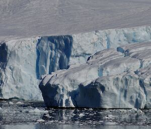 The ice cliffs near station, their textured surface well defined in the afternoon light