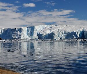 An Adelie penguin on the rocky shore near Mawson with the ice cliffs in the background