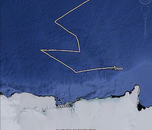A Google track showing the track over the past few days through the storm off Mawson