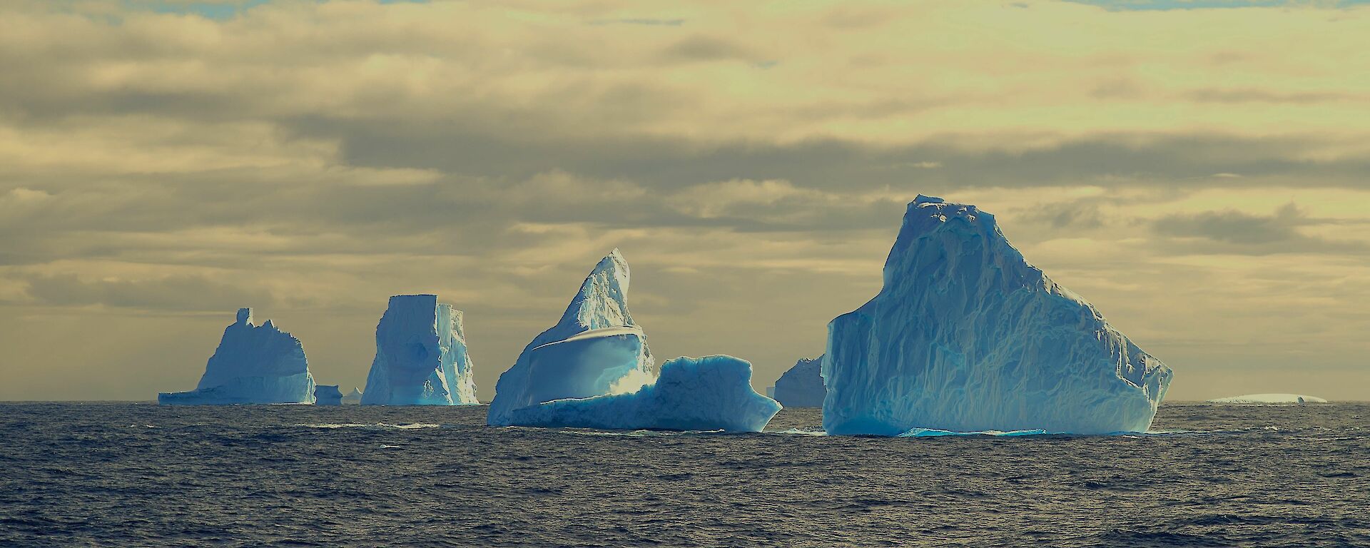 Five blue icebergs are floating in the ocean