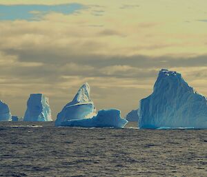 Five blue icebergs are floating in the ocean