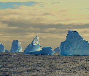 Five blue icebergs are floating in the ocean