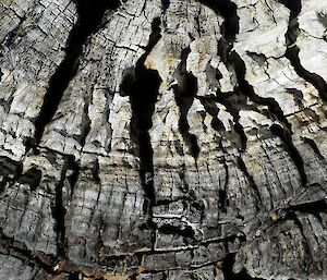 old weathered timber