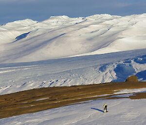 a single emperor penguin is sleeping on ice with an ice covered plateau in the background