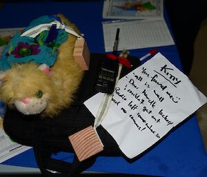 A stuffed toy cat with a scarf and radio