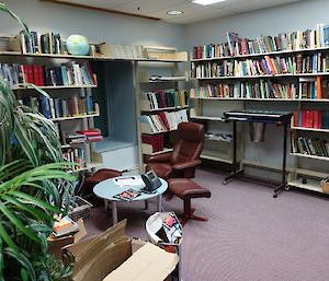 An armchair in a library with book shelves and pot plants.