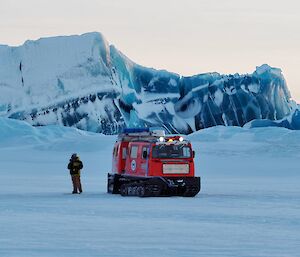 An orange Hägg on sea ice in front of a jade ice berg