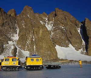 A yellow Hägg in front of mountains towing a trailer full of canes