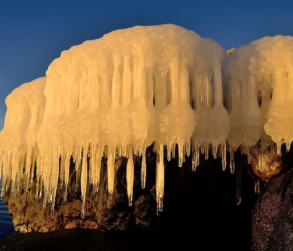 Icicles forming over a rock edge on a harbour edge.