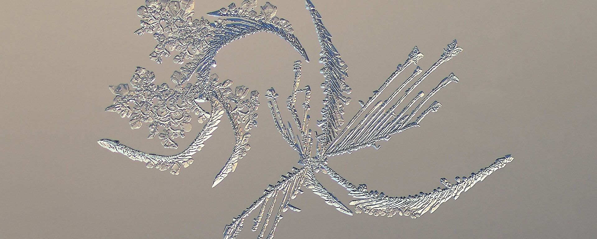 Ice crystals formed on glass in the shape of a flower