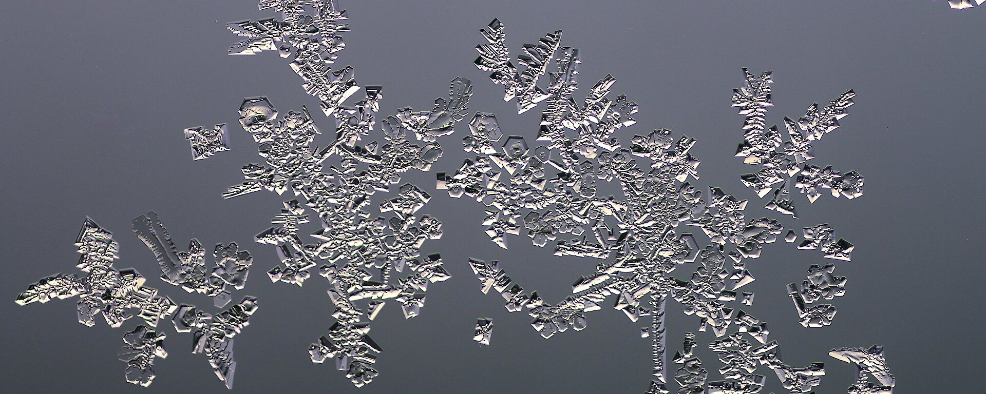 A close up of ice crystals that look like diamonds.