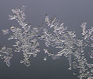 A close up of ice crystals that look like diamonds.
