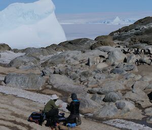 Two people are working on a rocky island with an iceberg towering behind the island.