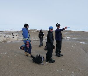 A team of people stand on an island with a penguin colony nearby.